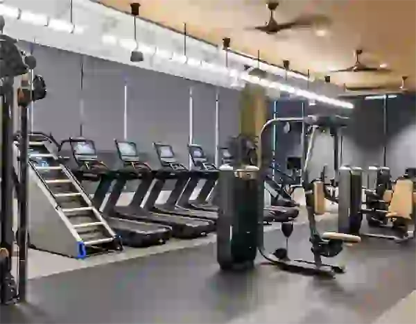 Treadmills in the fitness center